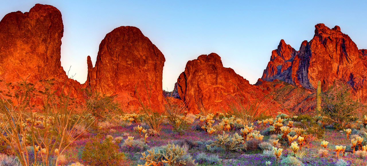 Kofa_National_Wildlife_Refuge_AZ